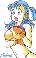 bulma_20110108_00017.png